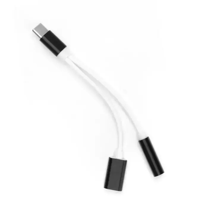 2-в-1 адаптер | USB-C на USB-C, 3.5mm | чёрный