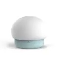 Night lamp W-008 Mushroom blue Photo