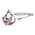 Dogness walking set leash+harness for dog (pink) Foto 1