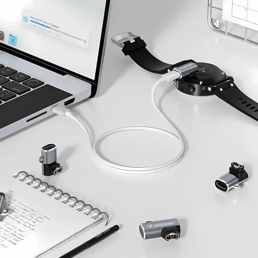 Wozinsky WAYGS1 USB-C Adapter for Garmin Smartwatch - Gray Фото num