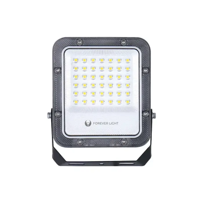 Floodlight LED PROXIM+ 30W 6500K 4500lm 230V IP65 Forever Light 150lm/W 5 years warranty