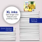 Epson 604 Pineapple Singlepack Black Ink — Photo 1