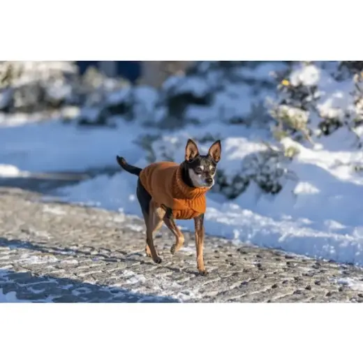 Apģērbs suņiem – Trixie CityStyle Berlin pullover, XS: 27 cm Foto 2