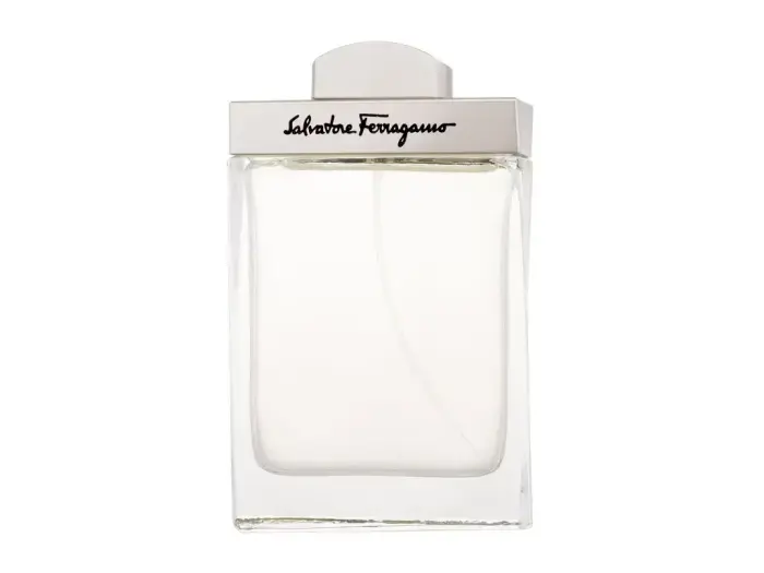 Salvatore Ferragamo Pour Homme (EDT) туалетная вода для мужчин 100 мл