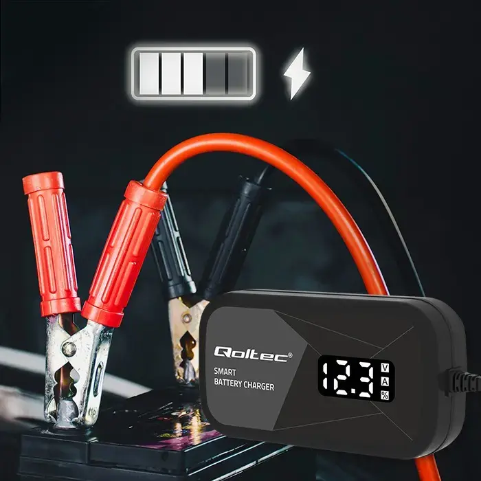 Microprocessor charger 12V 2A with cell regene Фото num