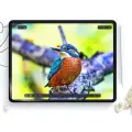 ЗАЩИТНАЯ ПЛЕНКА HOFI PAPER PRO+ 2-PACK IPAD 10.2 7 | 8 | 9 | 2019-2021 МАТОВАЯ ПРОЗРАЧНАЯ Фото num