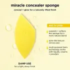 Debenhams Miracle Complexion Sponge + Concealer Sponge Duo — Foto 11