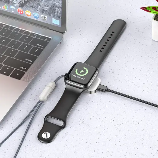 Borofone Wireless induction charger BQ25 for iWatch 2,5W grey Photo