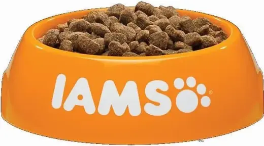 Sausā barība kaķiem - IAMS CAT ADULT INDOOR CHICKEN, 2 kg Foto 3