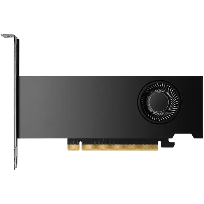 NVIDIA RTX 2000 Ada Generation - graphics card - NVIDIA RTX 2000 Ada - 16 GB