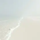 Sachajuan Clarifying Conditioner 250ml Фото num