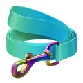 WAUDOG gradient nylon dog leash, 20 mm wide, 122 cm long blue Photo