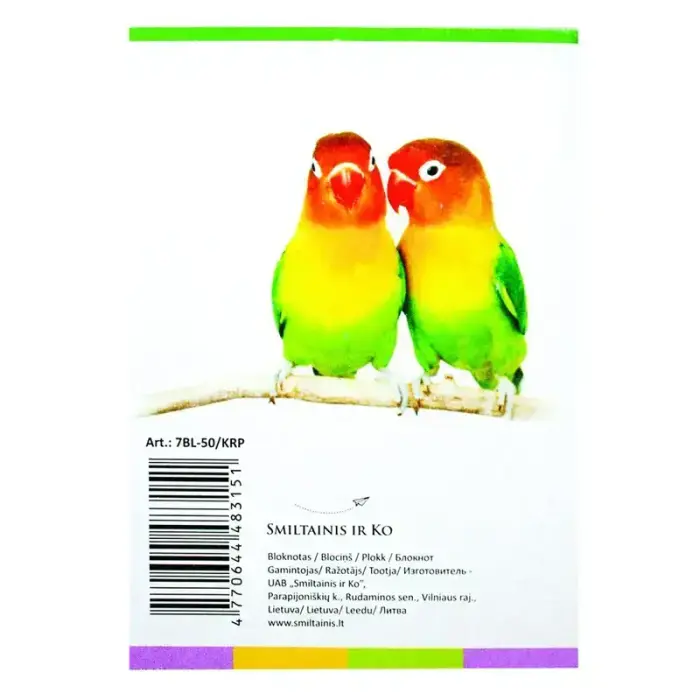 Bloks SMLT rūtiņu, A6 formāts, 50 lapas Foto 3