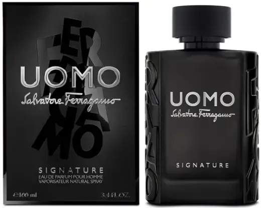 Salvatore Ferragamo Uomo Signature EDP M 100ml Foto 1