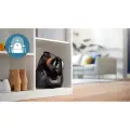 PHILIPS 1000. sērijas PowerCyclone bezmaisa putekļsūcējs, 800 W, melns Фото num