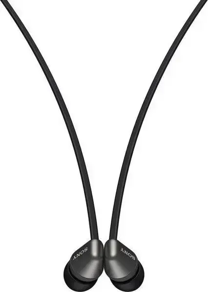 Wireless earphones Sony WI-C310 black Foto 4