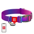 Nylon dog collar with QR code WAUDOG 15 mm wide, 25-35 cm long purple Foto 1