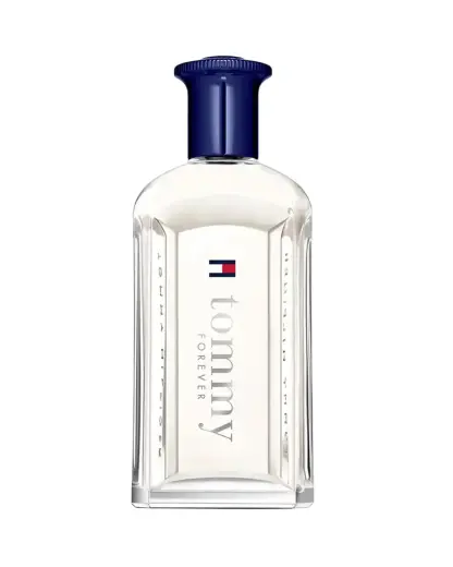 Tommy Hilfiger, Forever, Eau De Toilette, For Men, 100 ml Фото num
