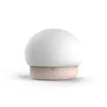 Night lamp W-008 Mushroom pink Photo