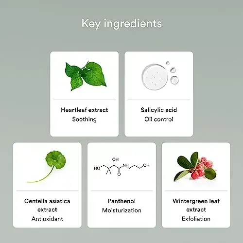 Abib Acne Foam Cleanser Heartleaf Foam 150 Ml Photo