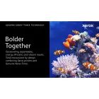 Xerox Genuine ® B305 Multifunction Printer/B310 Printer/B315 Multifunction Printer Black Extra High capacity Toner Cartridge (20000 Pages) - 006R04378 — Foto 2