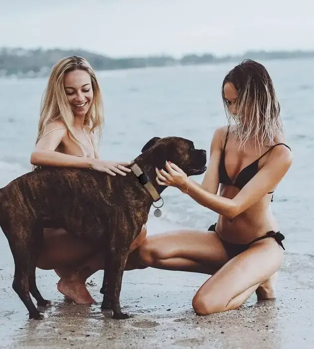 Apple AirTag Silicone Case for Dog or Cat Collar - Black Photo