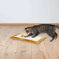 Nagu asināmais : Trixie  Scratching Mat 55*35cm, brown Foto 1