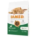 Сухой корм для кошек - IAMS CAT ADULT LAMB, 10 кг Фото num