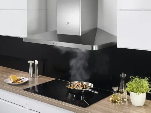 Electrolux tvaika nosūcējs Photo
